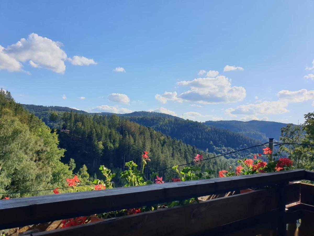 Landhaus Valentin Apartment Triberg im Schwarzwald Luaran gambar