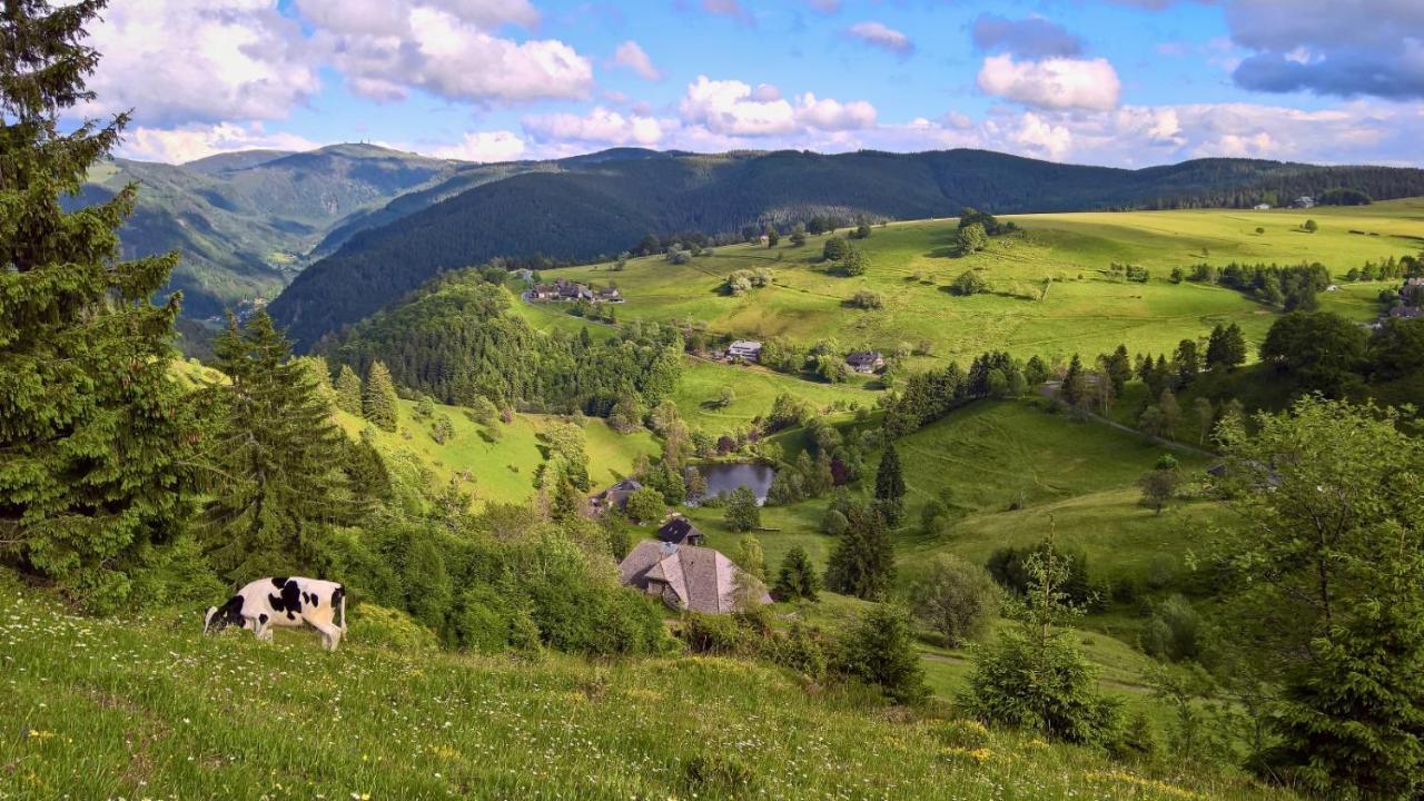 Landhaus Valentin Apartment Triberg im Schwarzwald Luaran gambar