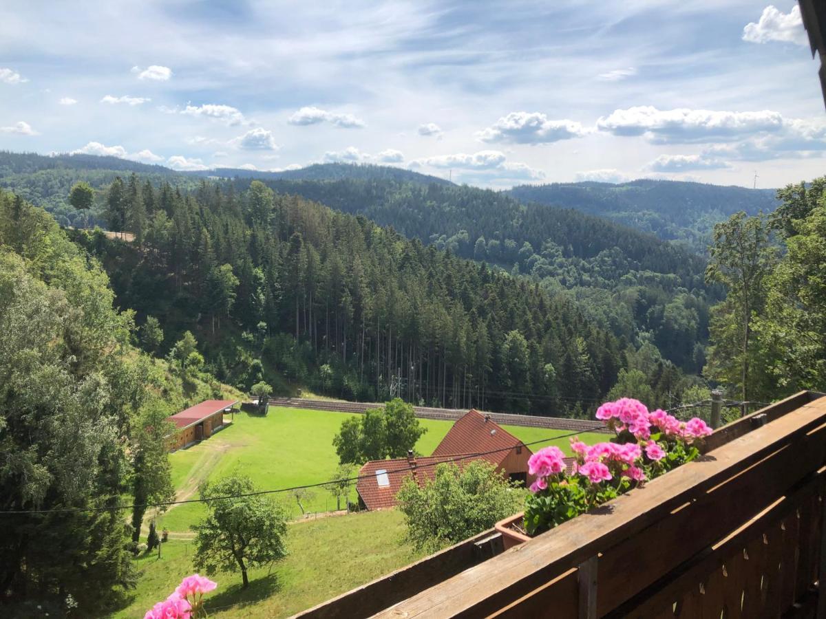 Landhaus Valentin Apartment Triberg im Schwarzwald Luaran gambar