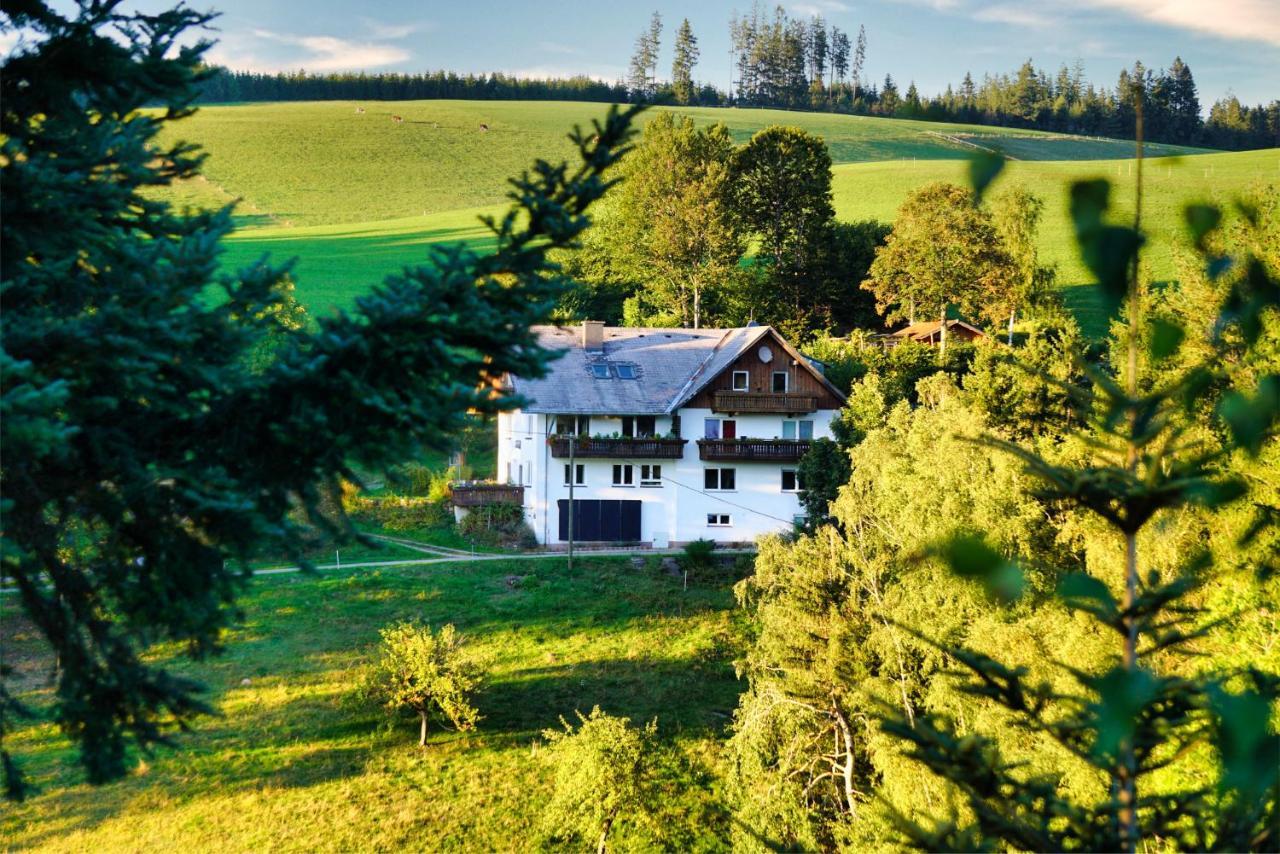 Landhaus Valentin Apartment Triberg im Schwarzwald Luaran gambar