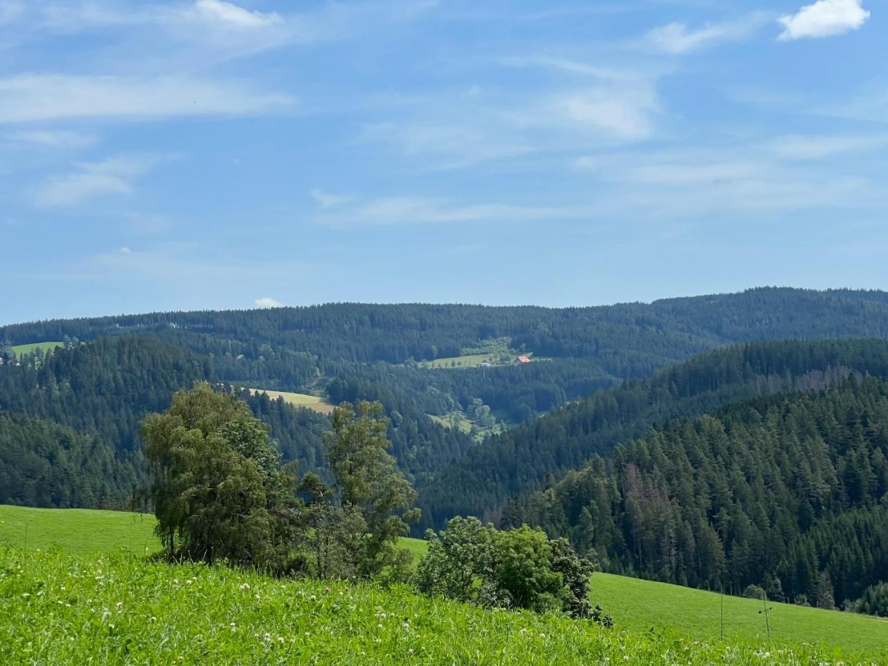 Landhaus Valentin Apartment Triberg im Schwarzwald Luaran gambar