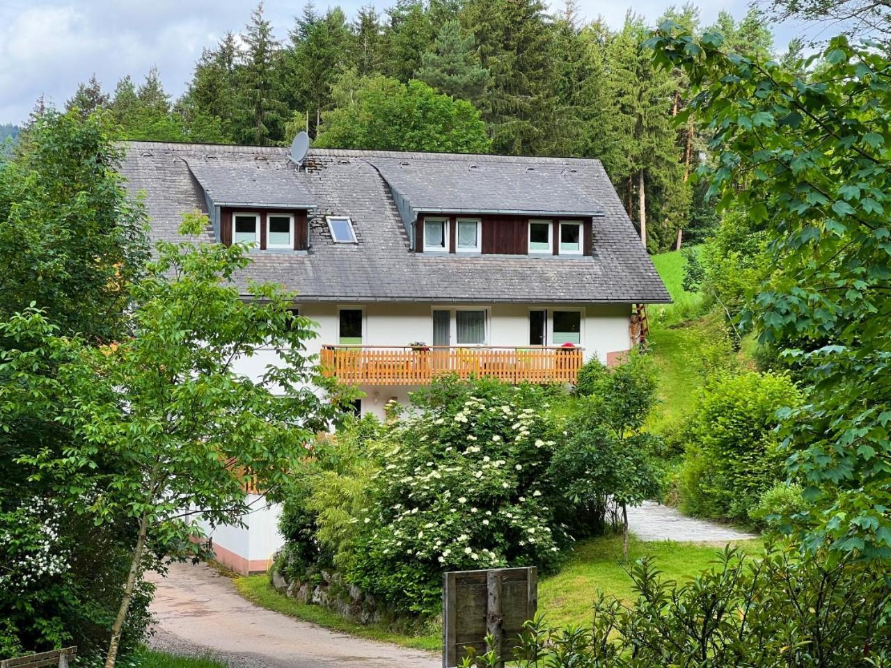 Landhaus Valentin Apartment Triberg im Schwarzwald Luaran gambar