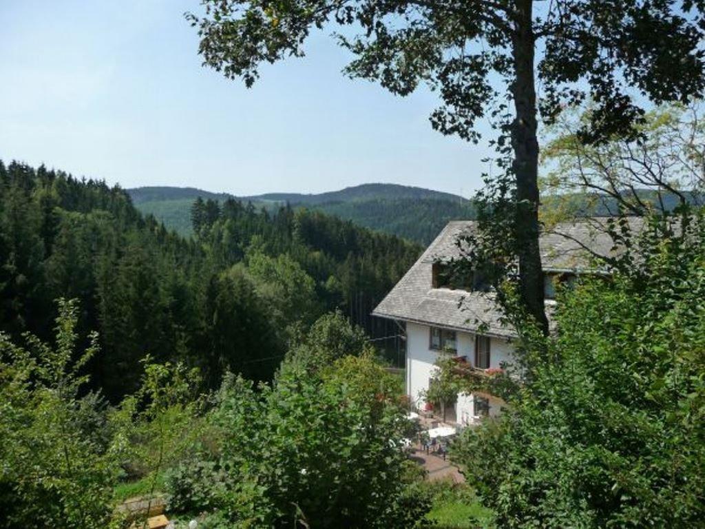 Landhaus Valentin Apartment Triberg im Schwarzwald Luaran gambar