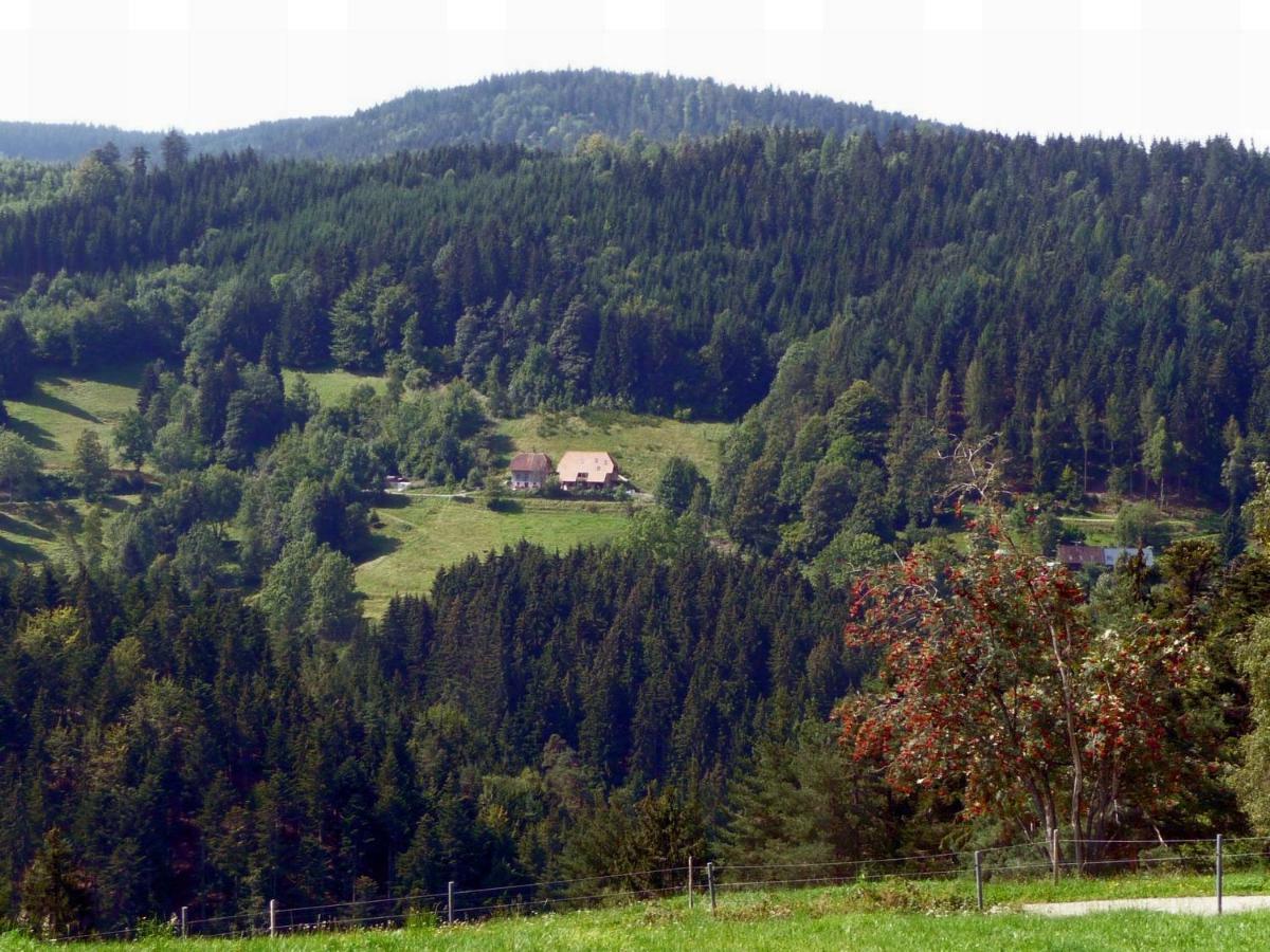 Landhaus Valentin Apartment Triberg im Schwarzwald Luaran gambar