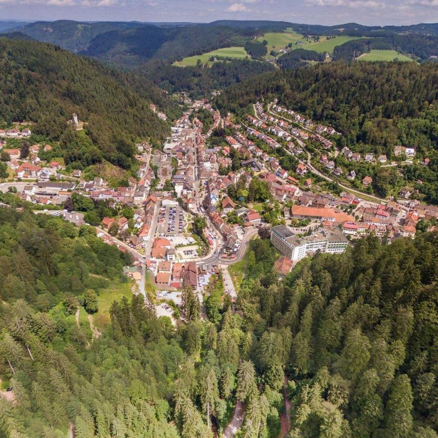 Landhaus Valentin Apartment Triberg im Schwarzwald Luaran gambar