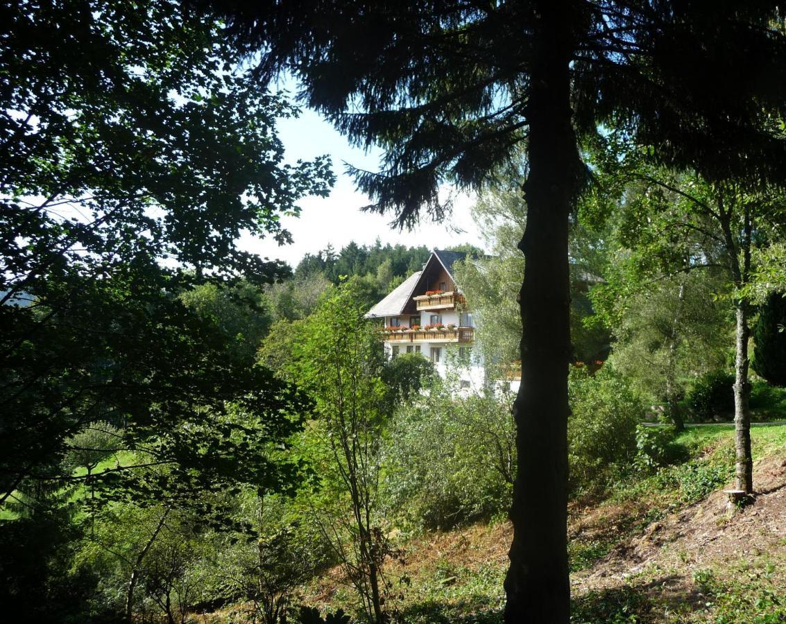 Landhaus Valentin Apartment Triberg im Schwarzwald Luaran gambar